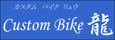 Custom Bike 